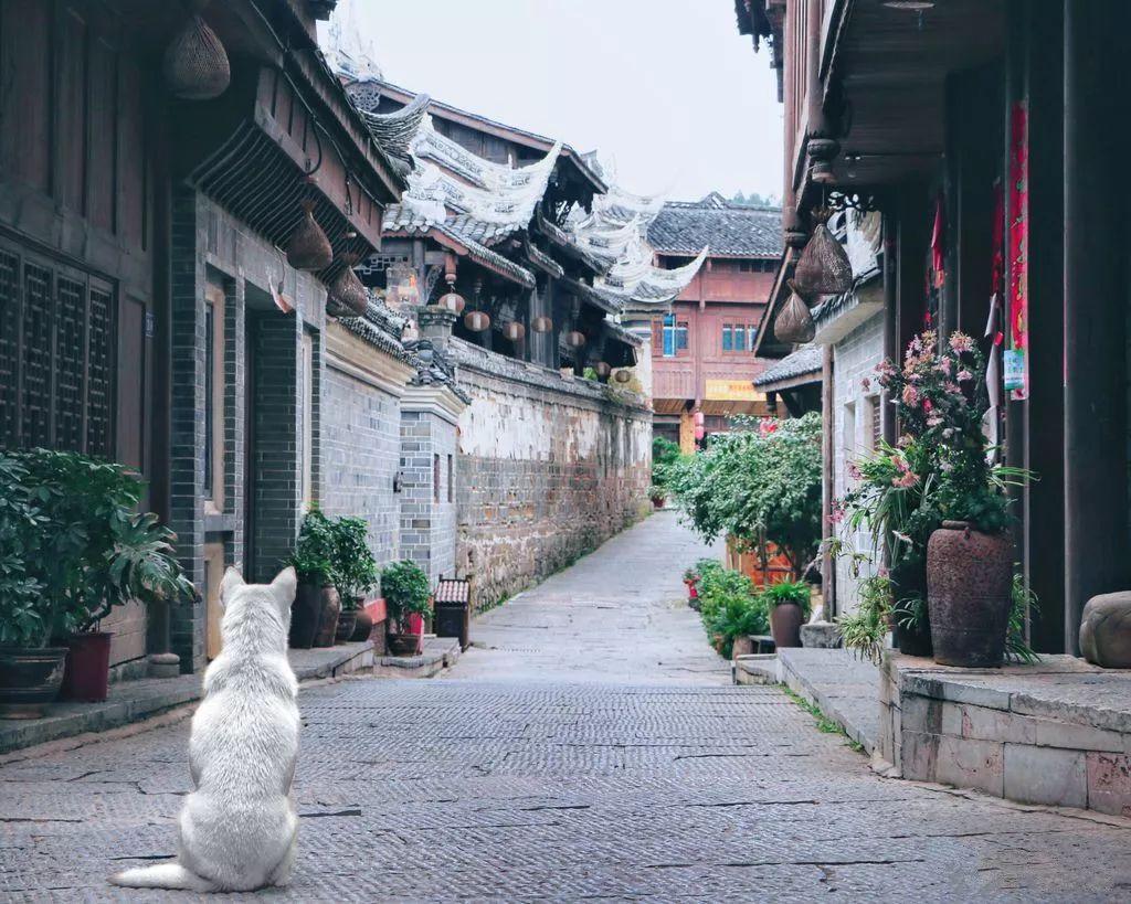 在生活中怎么预防痔疮？游戏画面